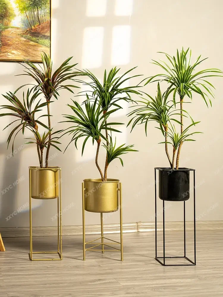 Simulation Colorful Ponytail I - đánh giá và giá Dracaena Marginata