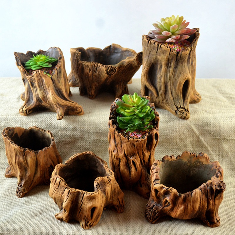 Imitation Wooden Stakes Tree R - đánh giá và giá Echeveria Succulent