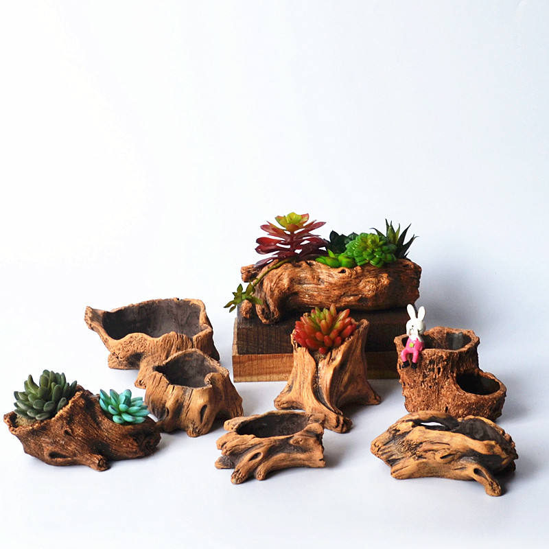 Imitation Wooden Stakes Tree R - đánh giá và giá Echeveria Succulent