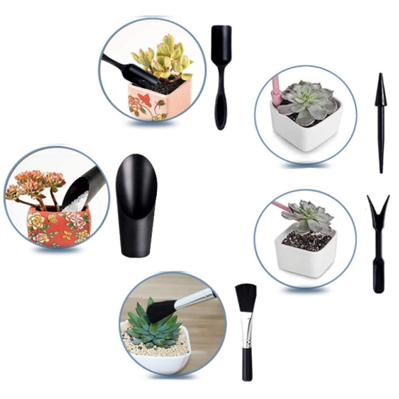 Mini Gardening Tool Set Label  - đánh giá và giá Echeveria Succulent